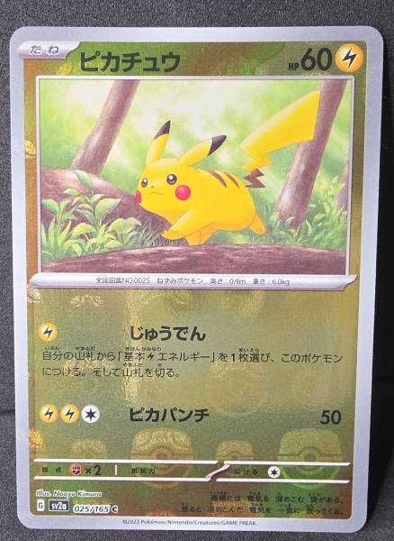 Front of Pikachu