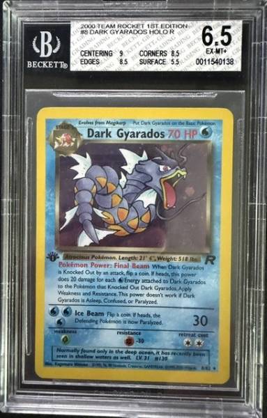 Front of Dark Gyarados