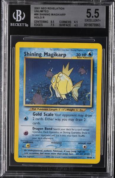 Front of Shining Magikarp
