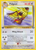 Pidgeot 24/64
