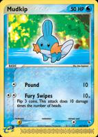 Mudkip 60/109