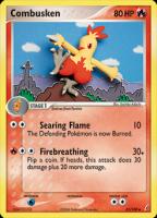 Combusken 31/100