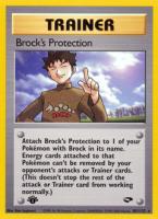 Brock's Protection 101/132