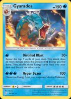 Gyarados 30/181